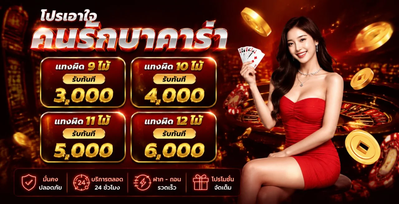 tstar banner